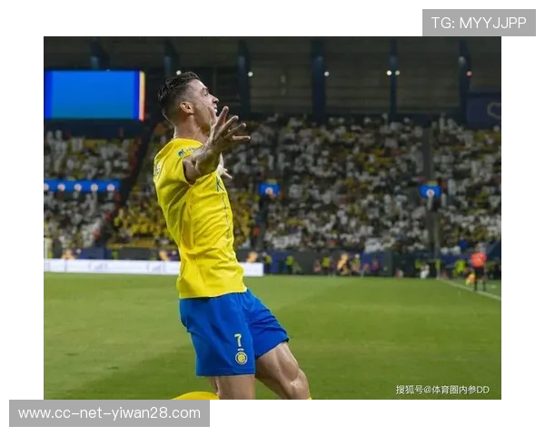 足球巨星真人版头像全解析：从球场到画布的精彩跨越