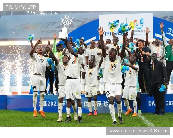 韩国足球世界杯代表球星的崛起与奋斗历程解析